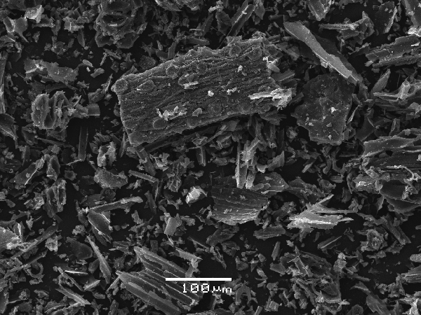 A electron microscopic image of biochar made from macadamia nut shells
