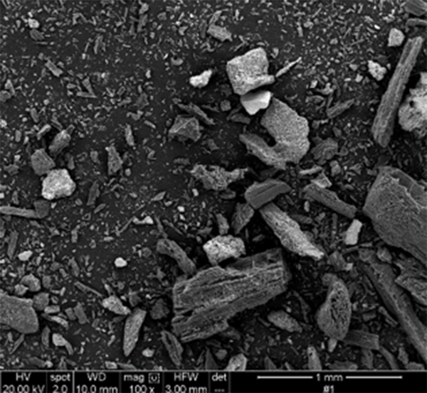 A electron microscopic image of biochar made from wood shavings