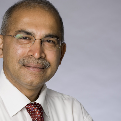 Profile picture of Professor Ravi Naidu